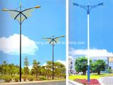 New Model LED Street Light
