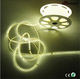 110V 220V High Volt LED Strip Lights Commercial