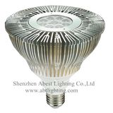 LED PAR38 LED Light