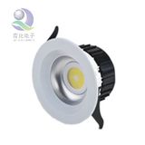 LED Down Light (COB12W)