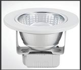 COB LED Down Light-3W