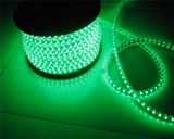 Epistar 220V LED Strip 60LEDs with High Quality