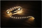 IP65 300SMD LED Strip Light with Warm White