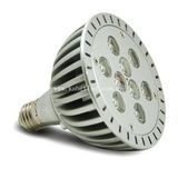 LED Light (F1512)
