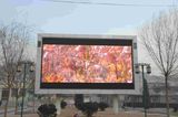 Outdoor Full Color LED Display P16 for Advertisement