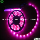 Dream Color Ws2812b Magic LED Strip for 5V Light