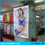 Imported Advertising LED Light Sign Light Box