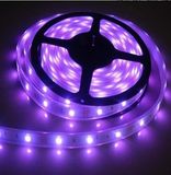 3528 High Brightness Flexible LED Strip Light