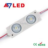 Injection SMD 2LEDs 2835 Programmable LED Christmas Lights Module DC12V for Advertising LED Light Box