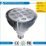 PAR38 LED PAR Light 12W (HM-LP38-E27-12*1W)