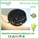 DC12 Waterproof Magic Light SMD 5050 Flexible LED Strip