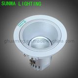 LED Light/LED Down Light