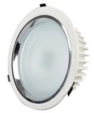 LED Down Light