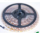 SMD3528 LED Strip Light