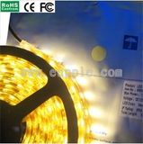 LED Flexible Strip (5050/60-IP68) , LED Strip Light