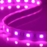 Decoration Digital 5050 SMD DC12V RGB LED Strip Light