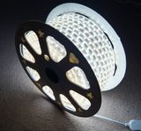 LED Lights SMD 230V 110V SMD LED Strip Lights LED