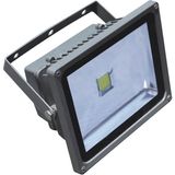 LED Flood Light (TP-H11-030W01)