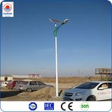 Solar LED Street Light 70W LED Street Light Made in China