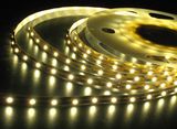 30LEDs/M SMD5050 IP65 LED Light Strip