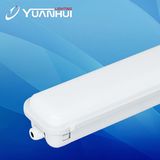 IP65 Noncorrosive LED Batten Light