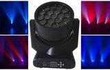 19X10W Haweye Beam Moving Head Light