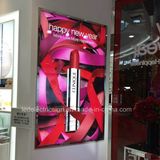 Stainless Steel Frame LED Light Box