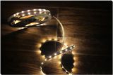 Various Styles12V 3528 Flexible LED Strip Light