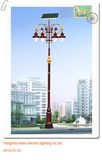 Wbrd-012 60W LED Solar Light