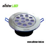 LED Ceiling Light (ST-CL-33 12*1W)