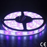 SMD5050 RGB LED Strip Light