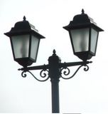 High Quality 20W Garden Light with 3year Warranty