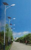 LED Solar Street Light 30W 40W