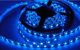 IP65 SMD3528 120LED/M LED Strip Light