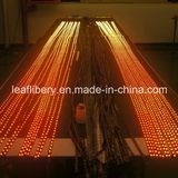 DC5V 32 LEDs/ 32 Ics Tls3001 LED Digital Strip Light 10W