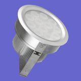 12W High Power LED Ceiling Light