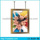 Factory Export Double Sides LED Slim Light Box