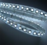 LED Flexible Strip, LED Flexible Strip Light