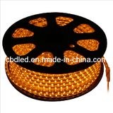 Super Brightness 110/220V LED Strip Light (SMD5050, 30LEDs/M)