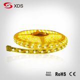 LED Strip Light SMD5050