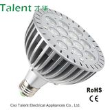 12W PAR38 LED Light, Garden LED Lighting