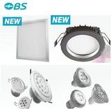 LED Down Light