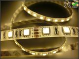 Warmwhite LED Strip Light for Room Decoration Lighting