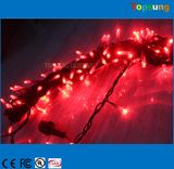 AC Fairy LED String Christmas Decoration Light Outdoor