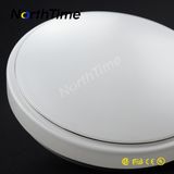 Succinct Artistic 12W LED Ceiling Light for Living Room&Bedroom