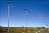 Cheaper 50W Solar LED Street Light