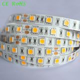 Pure Warm Wihte SMD 5050 LED Flexible Strip Light