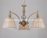 New Design Iron Pendant Lamp Chandelier (SL2088-3)