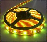 5050 LED Strip Light Waterproof LED Strip Light