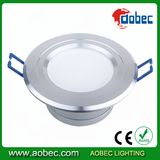 LED Down Light